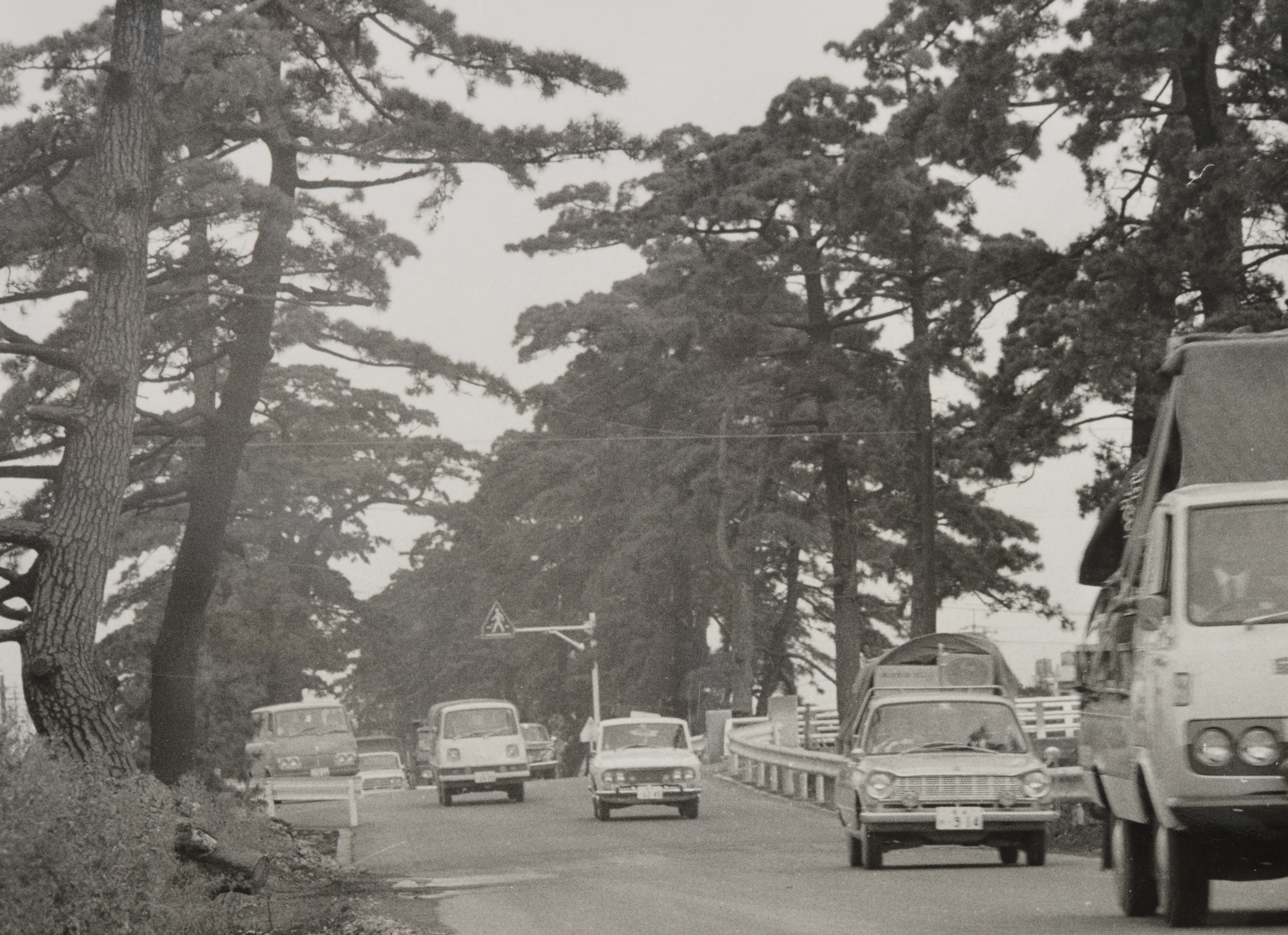自動車が走る草加松原