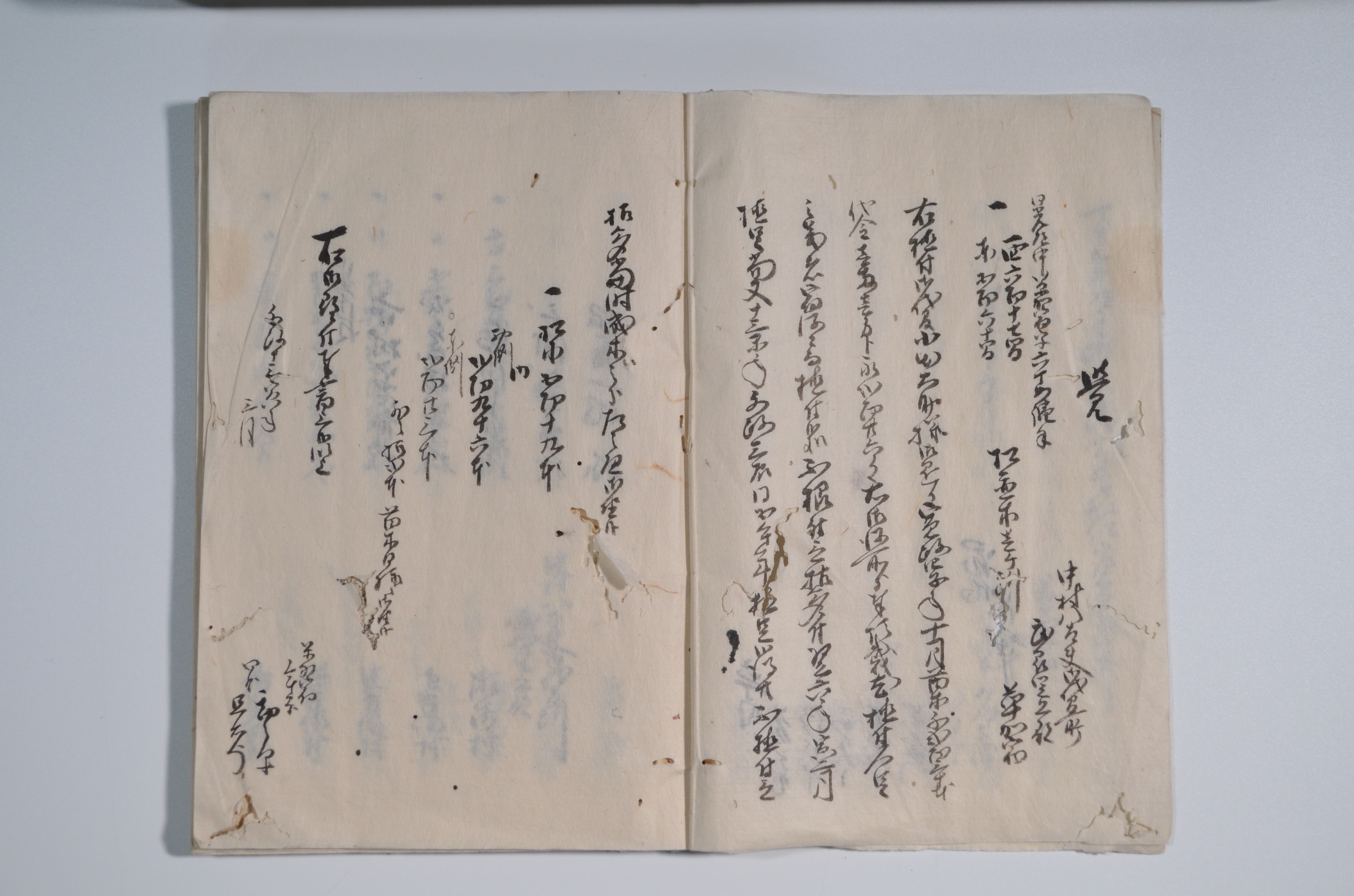 草加宿松並木員数書上