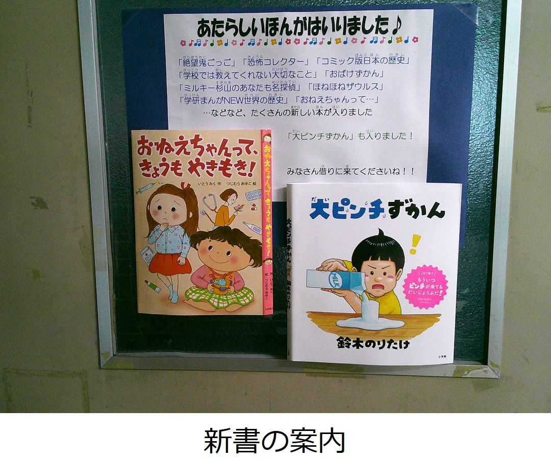 【青柳小】新書の案内