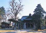 女体神社の画像