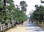 草加松原の画像