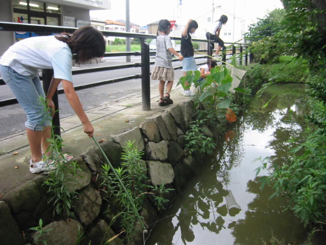 :新栄東公園構え堀の画像