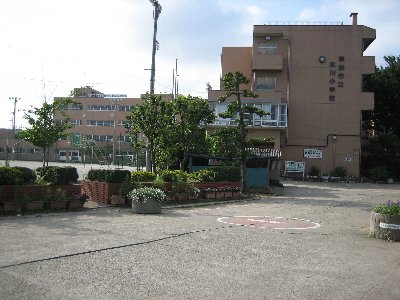 :氷川小の画像