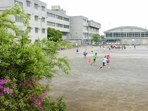 :両新田小の画像