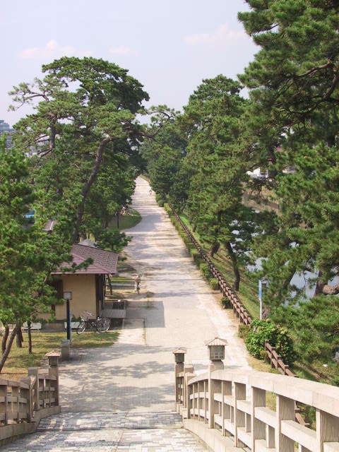:草加松原遊歩道全景の画像