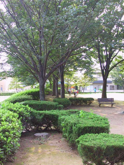 :稲荷東公園植栽の画像