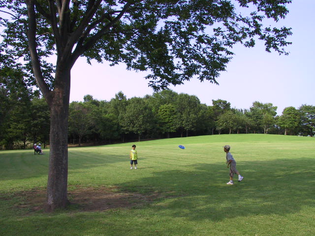 :そうか公園芝生広場の画像