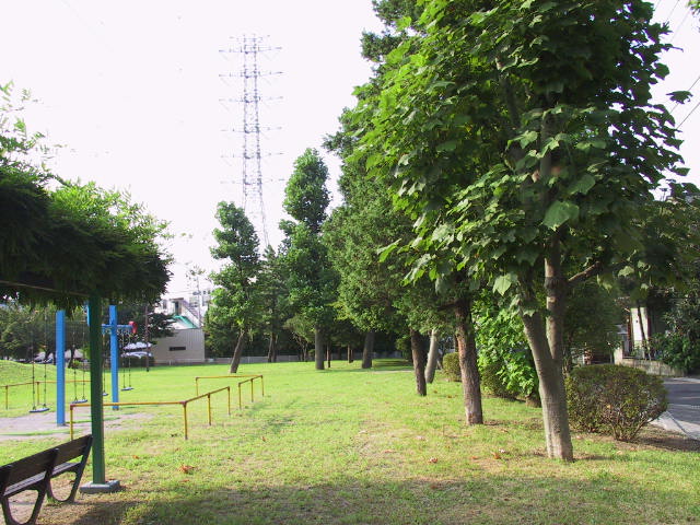 青柳東公園木立