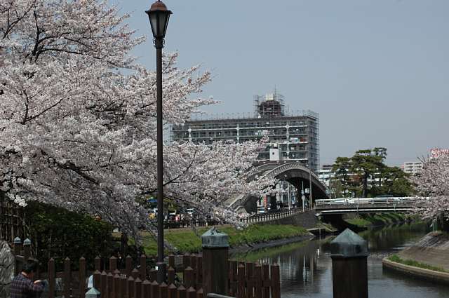 :札場河岸公園の桜の画像