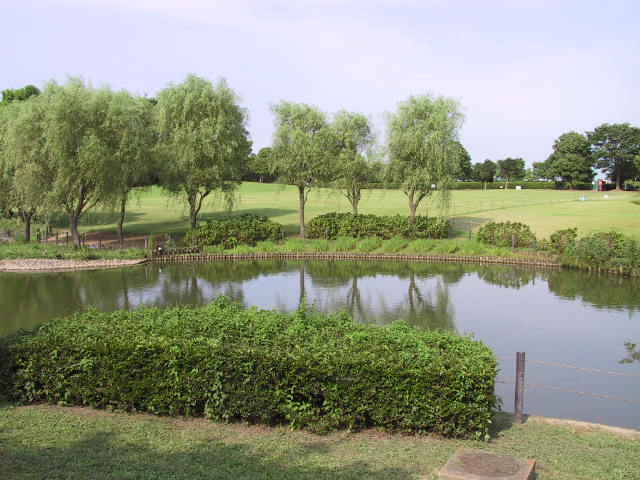 そうか公園修景池