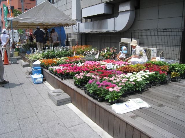 花の販売
