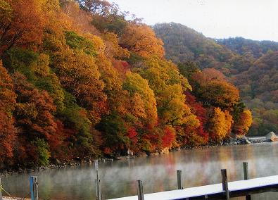 千手ヶ浜紅葉の画像