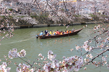 Ride a Japanese-style Boat on the Ayase River