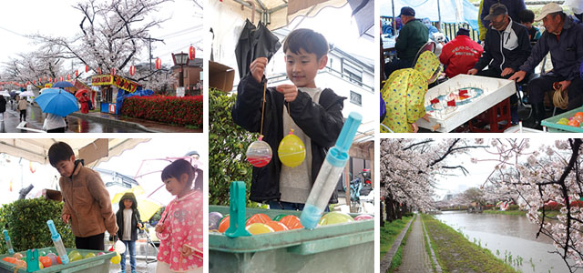 Soka Cherry Blossoms Festival