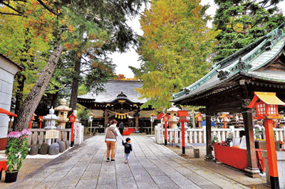 令和5年度観光協会会長賞「草加神社の秋景」