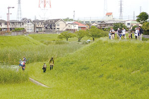 生きもの調査会の様子