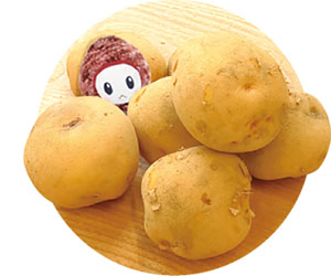 じゃがいも