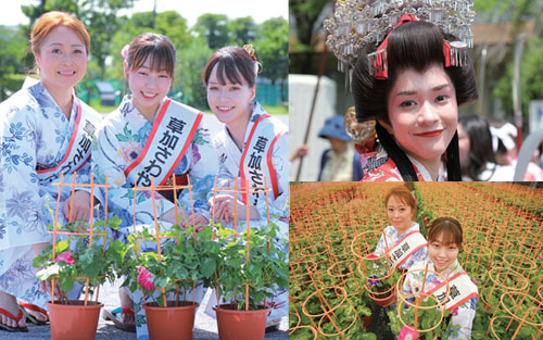 草加さわやかさん