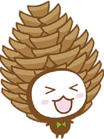 ぼっくるん