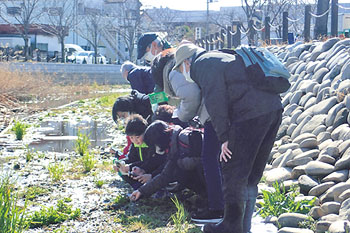 生きもの調査会